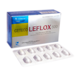 CETECO LEFLOX 500